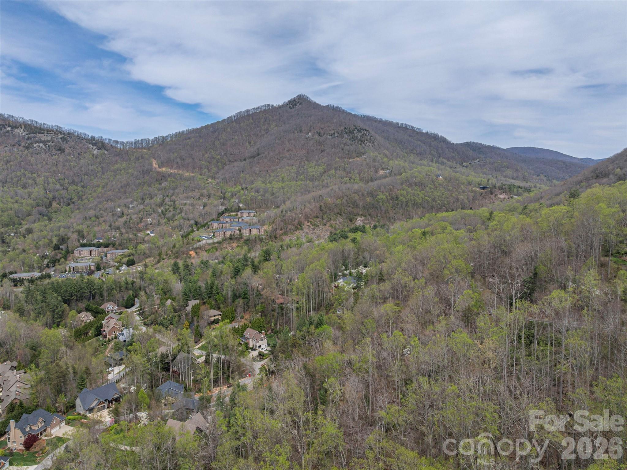 137 & 145 Cedar Mountain Road Asheville NC 28803