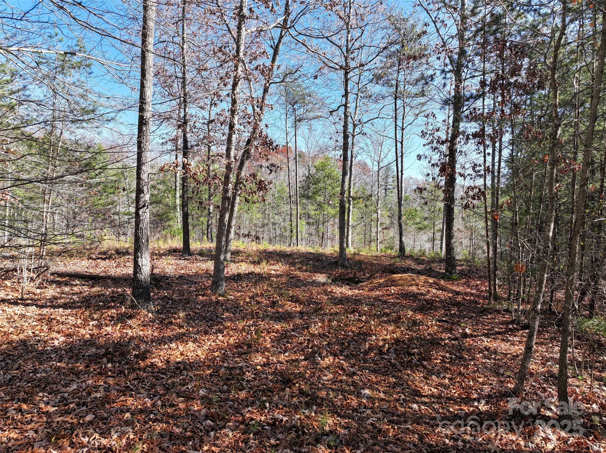 181 Red Fox Trail Marshall NC 28753