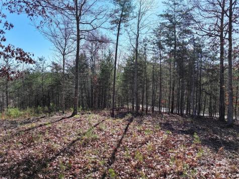 181 Red Fox Trail Marshall NC 28753