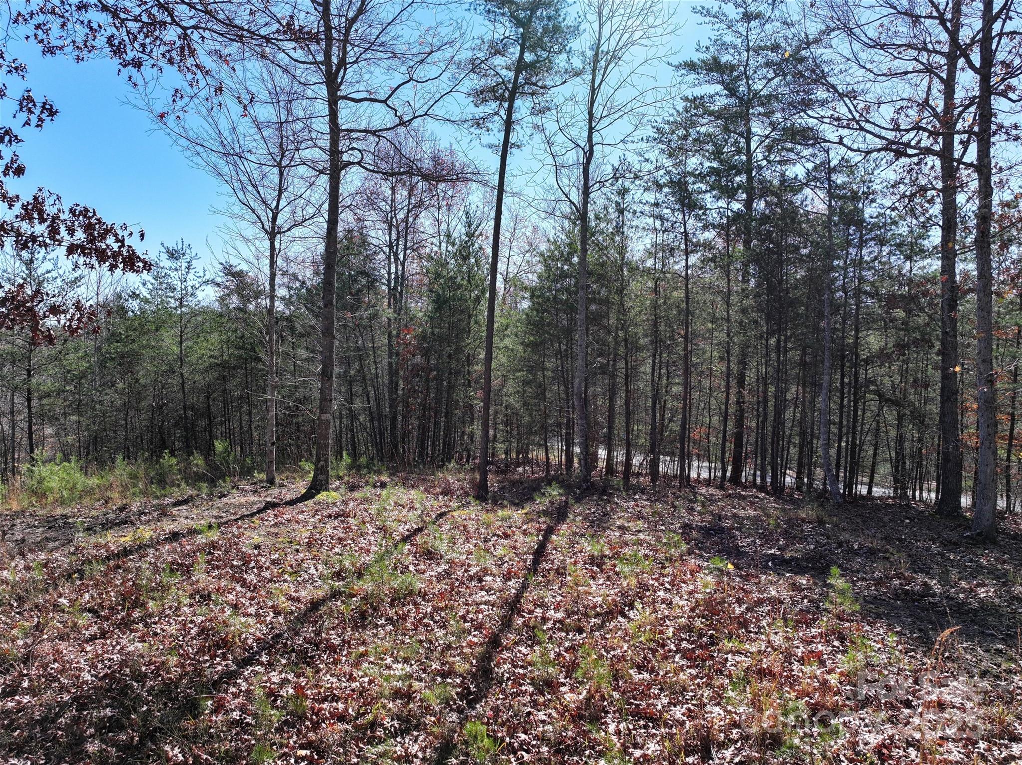 181 Red Fox Trail Marshall NC 28753