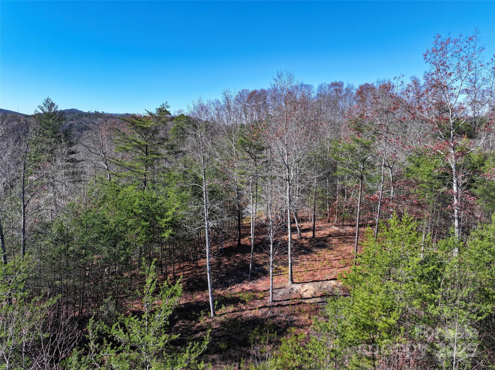 181 Red Fox Trail Marshall NC 28753