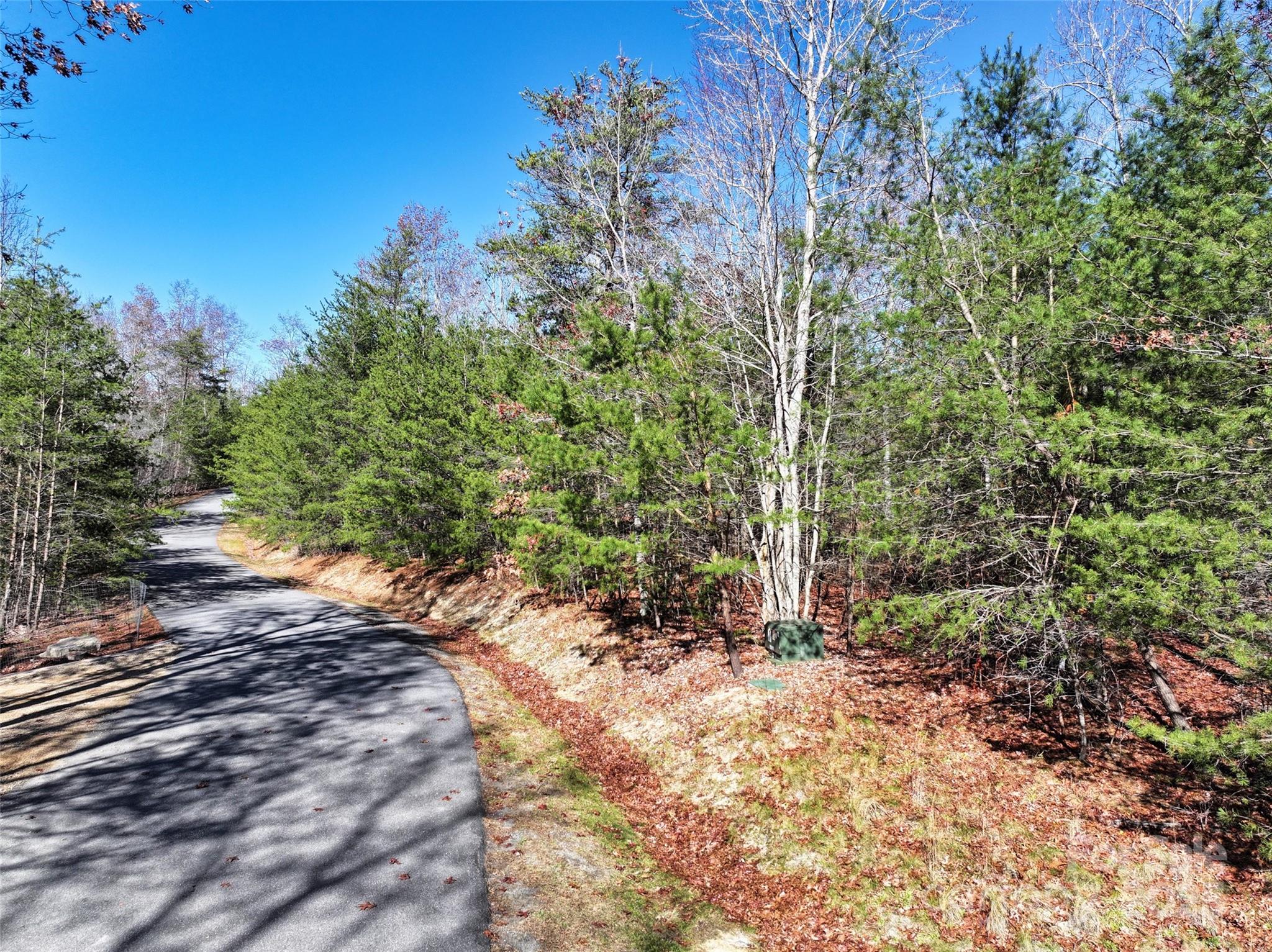 181 Red Fox Trail Marshall NC 28753