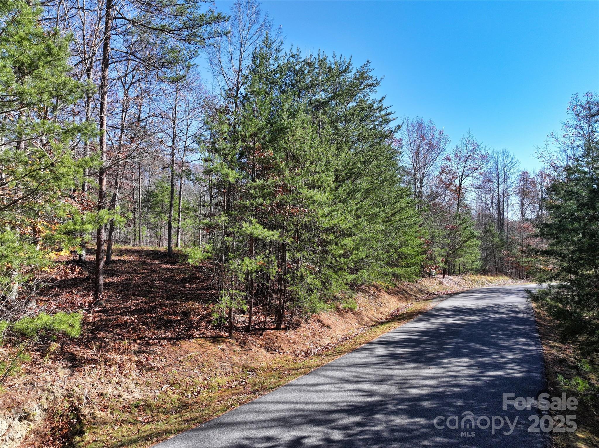 181 Red Fox Trail Marshall NC 28753