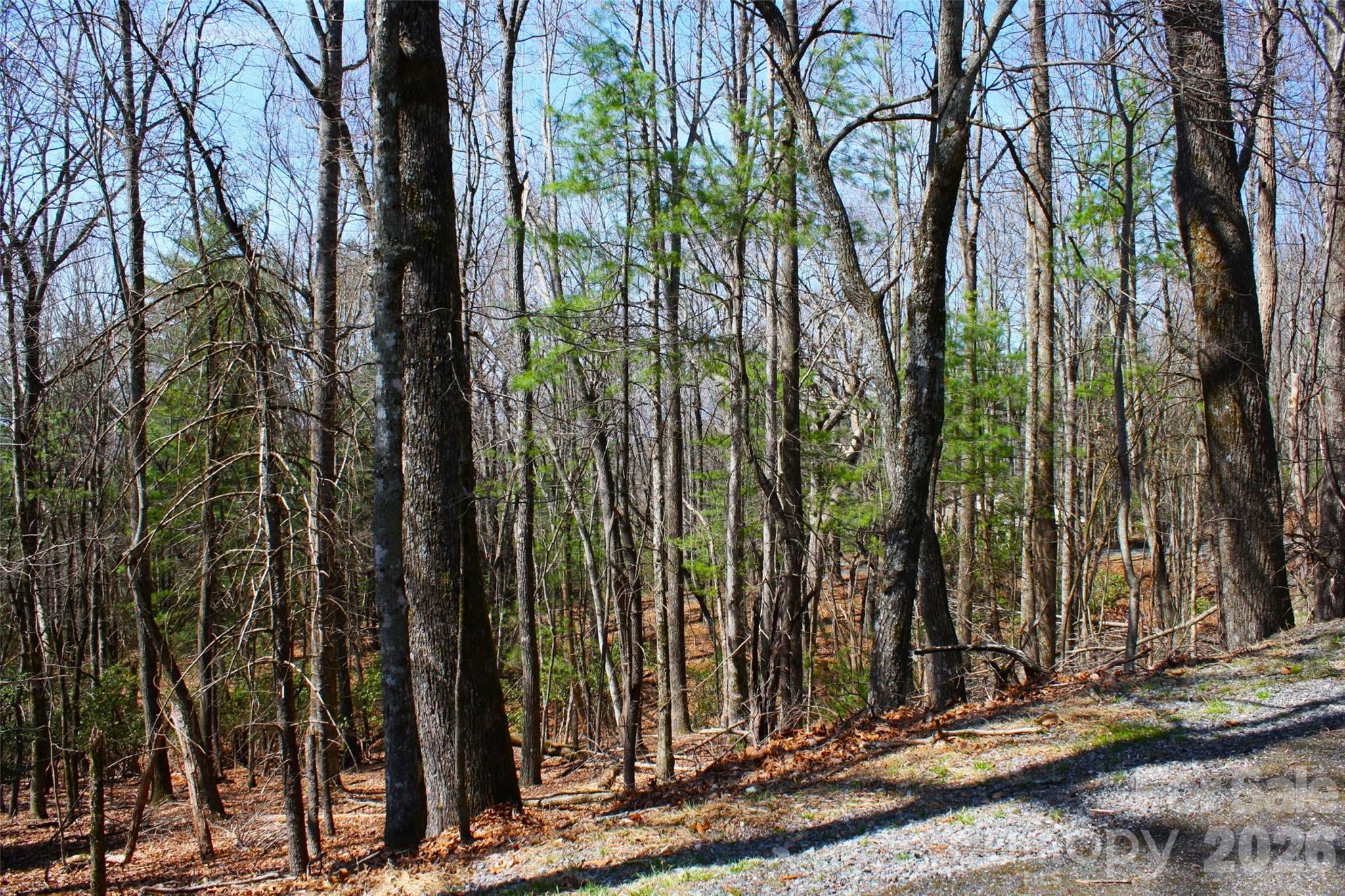 0000 Slick Rock Road Brevard NC 28712