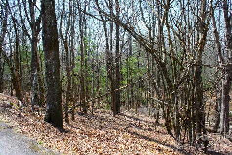 0000 Slick Rock Road Brevard NC 28712