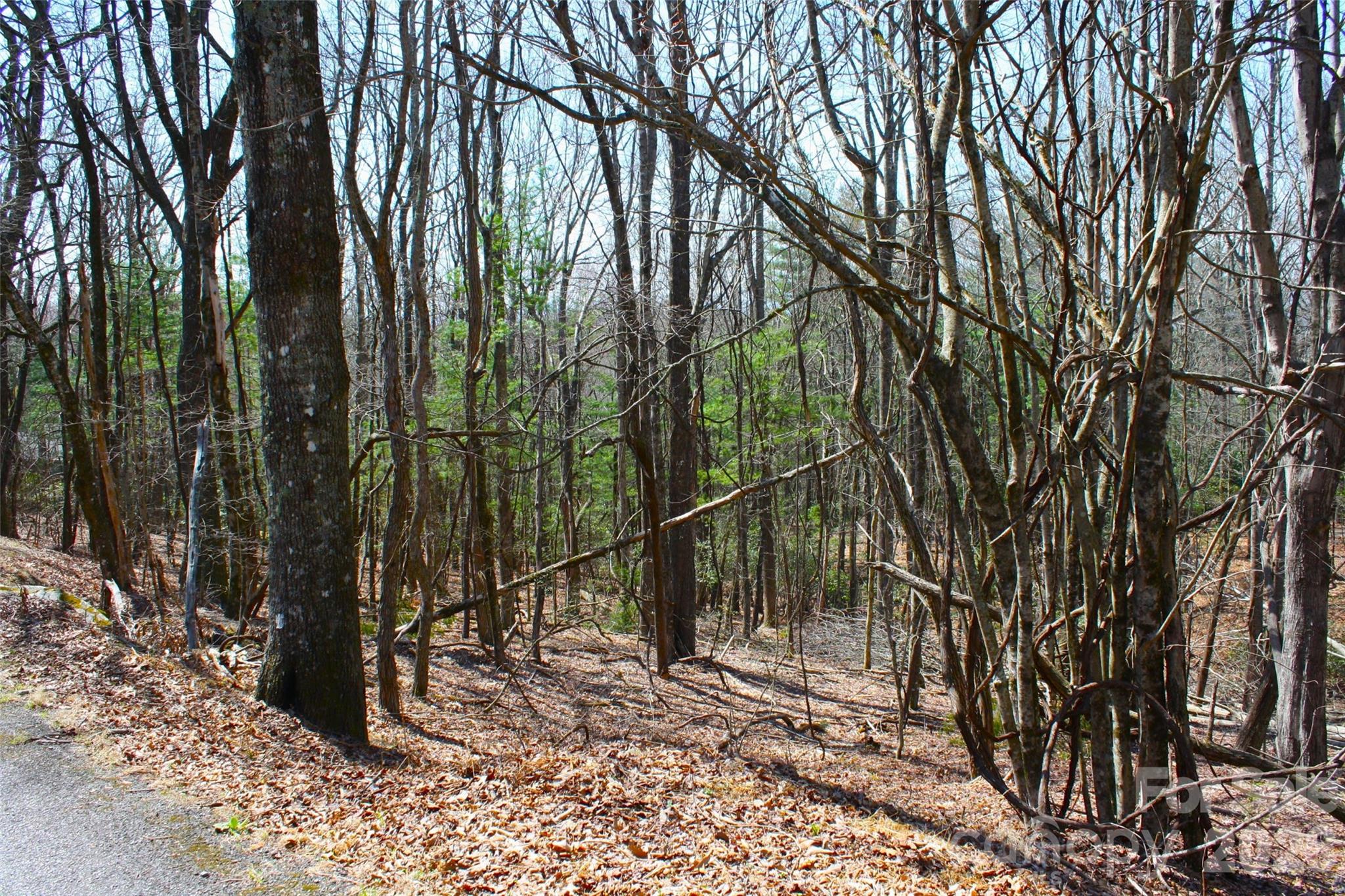 0000 Slick Rock Road Brevard NC 28712
