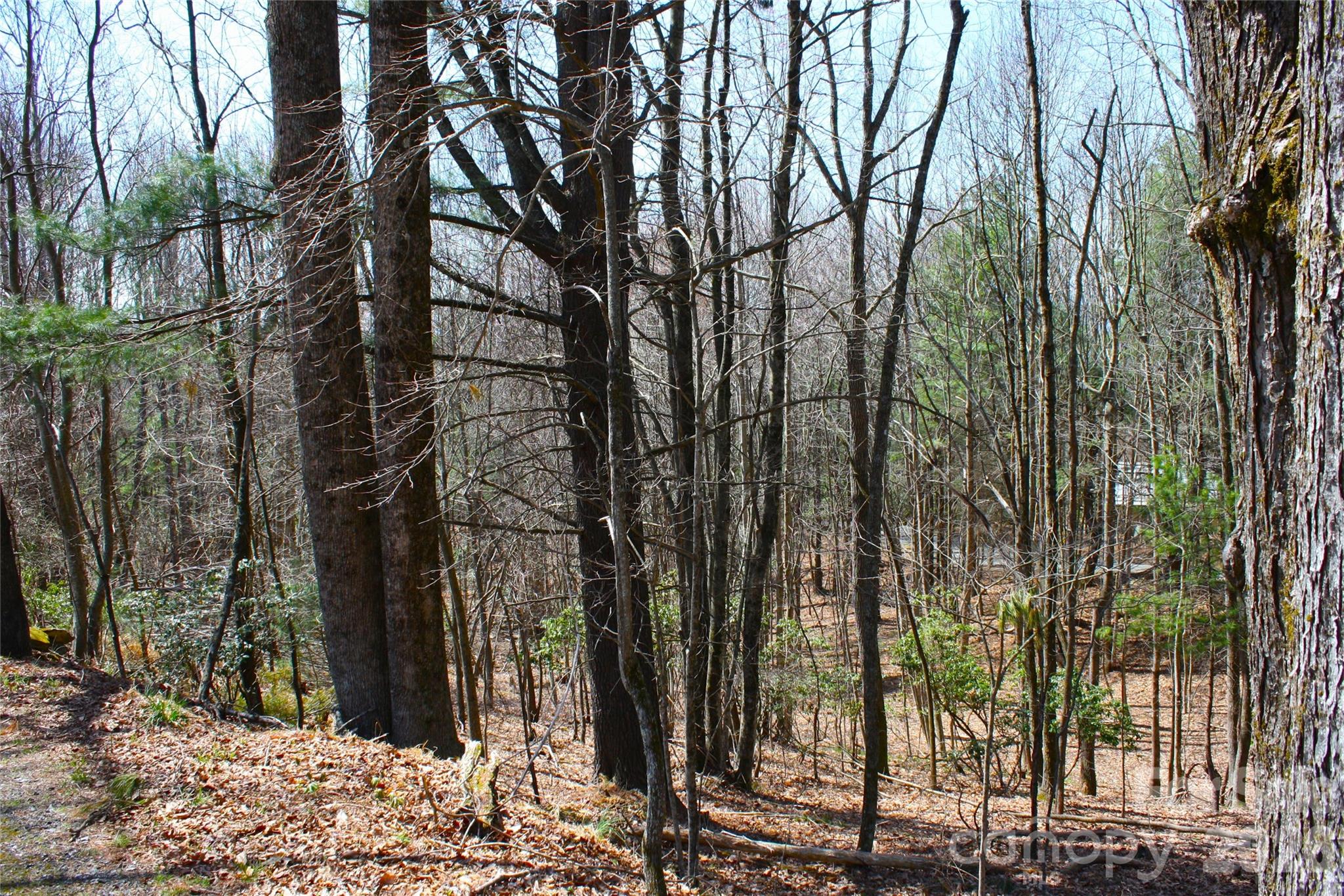 0000 Slick Rock Road Brevard NC 28712