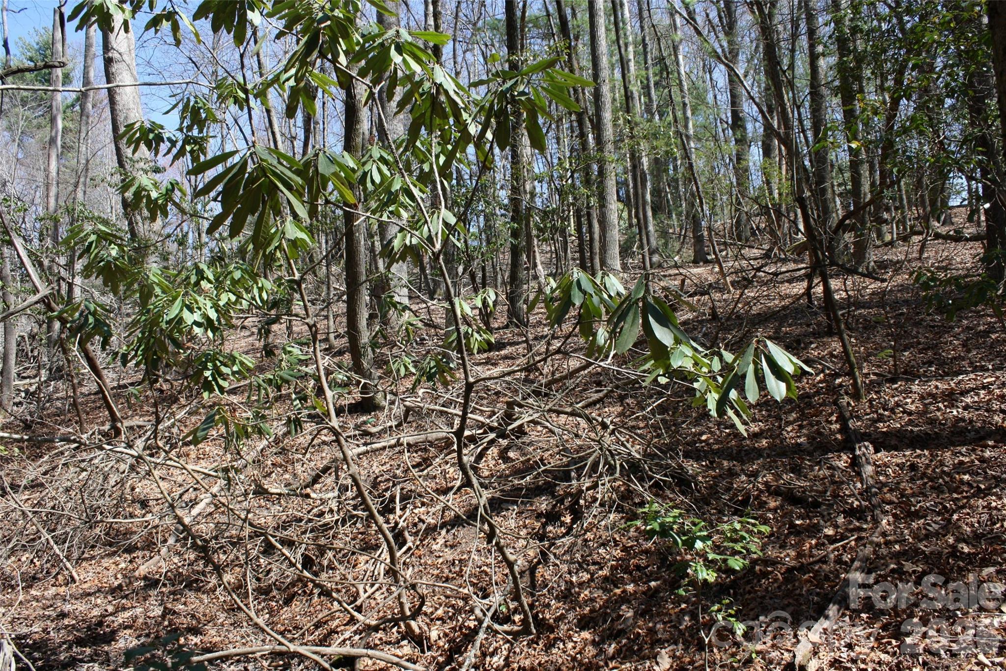 0000 Slick Rock Road Brevard NC 28712