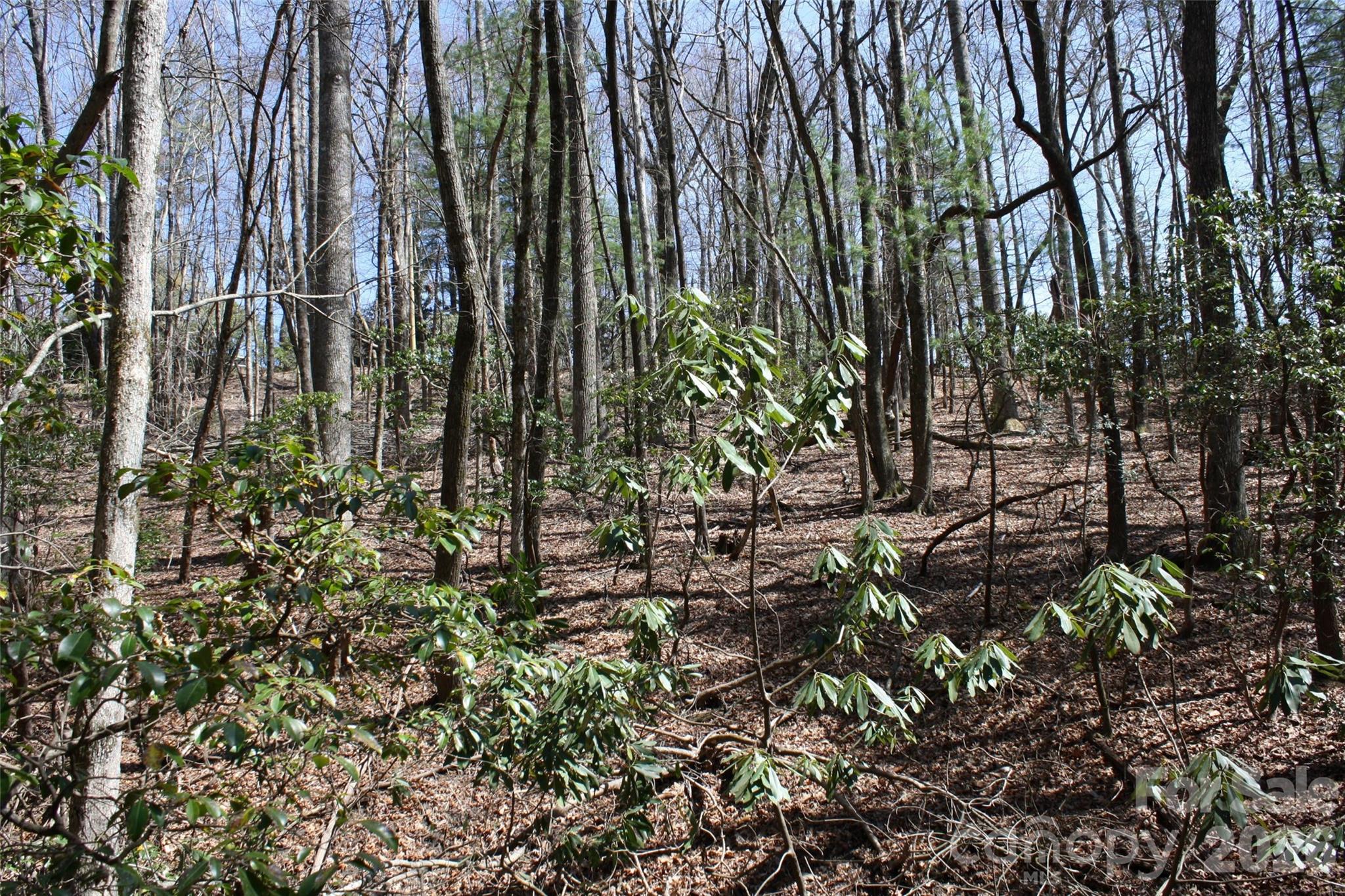 0000 Slick Rock Road Brevard NC 28712