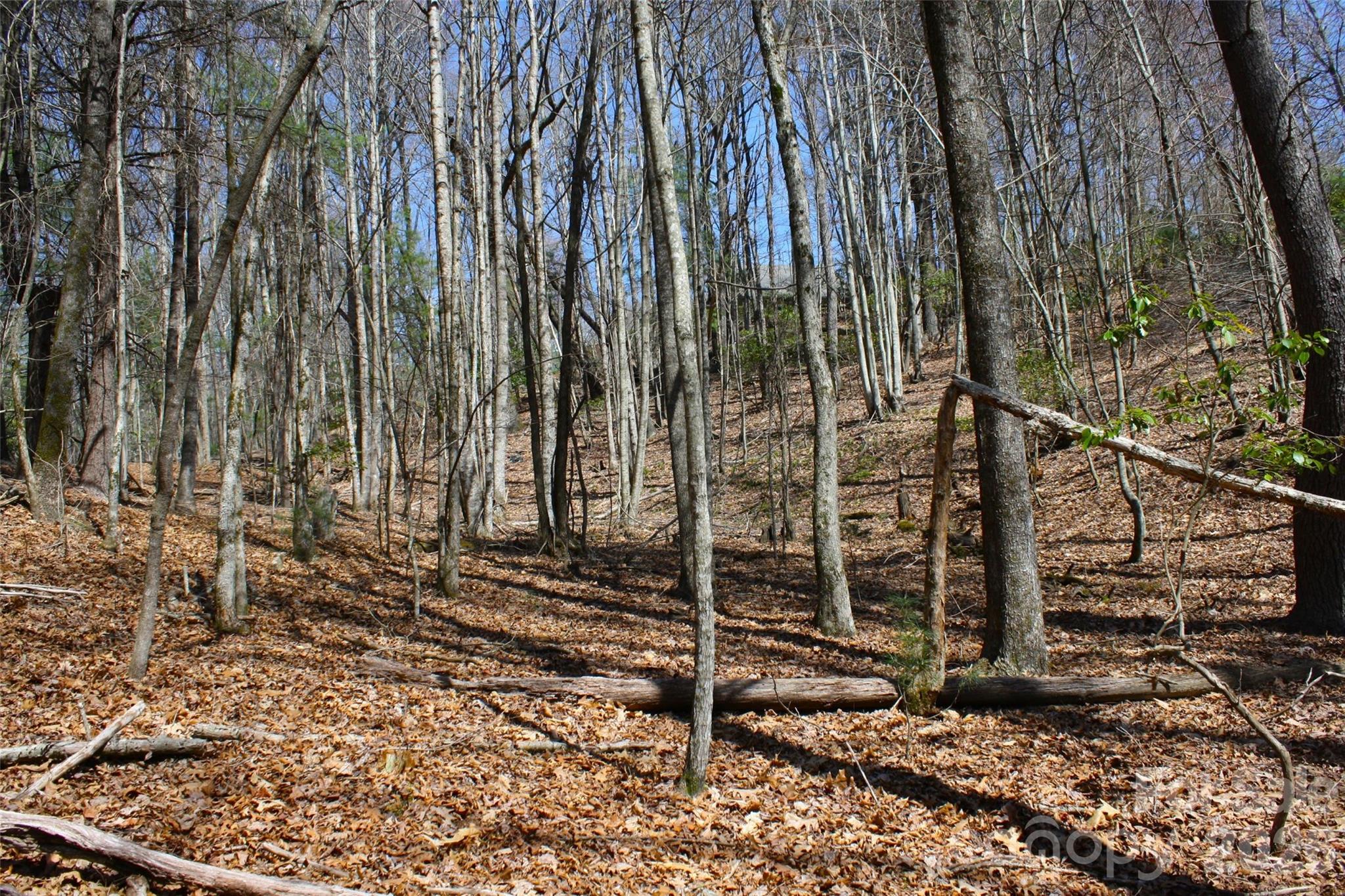 0000 Slick Rock Road Brevard NC 28712