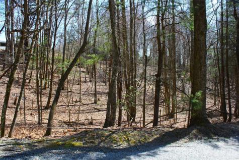0000 Slick Rock Road Brevard NC 28712