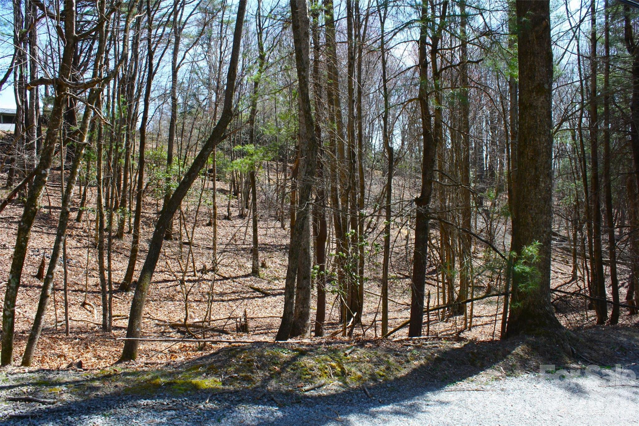 0000 Slick Rock Road Brevard NC 28712