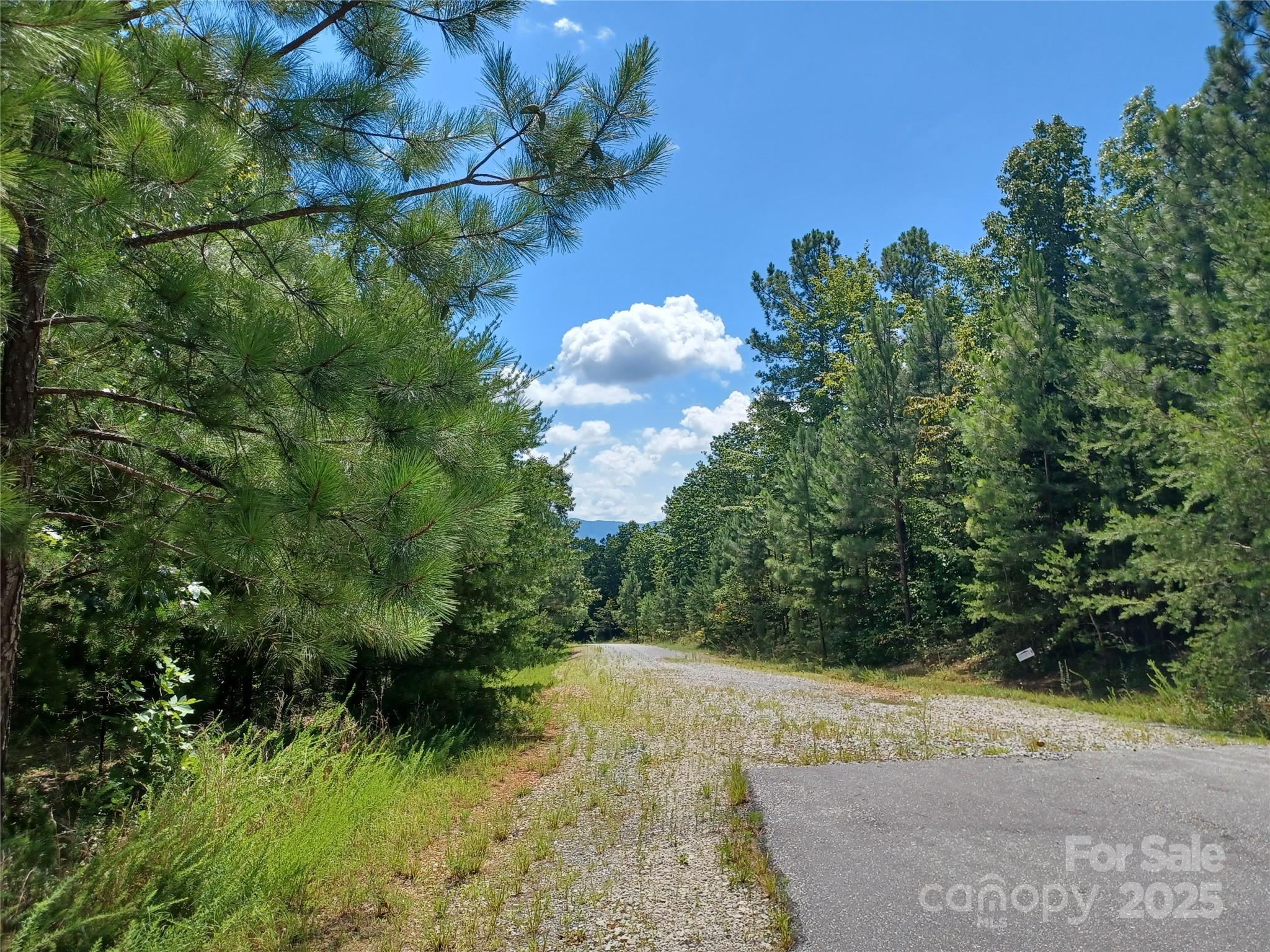 88 Lowden Drive Nebo NC 28761