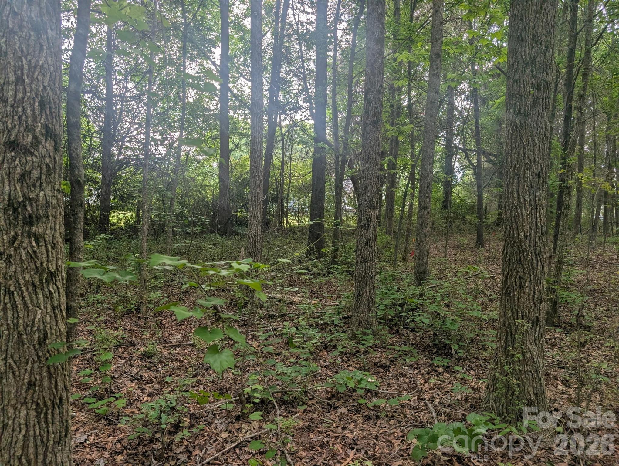 1.29 Acres 320 W Red Cross Road Oakboro NC 28129