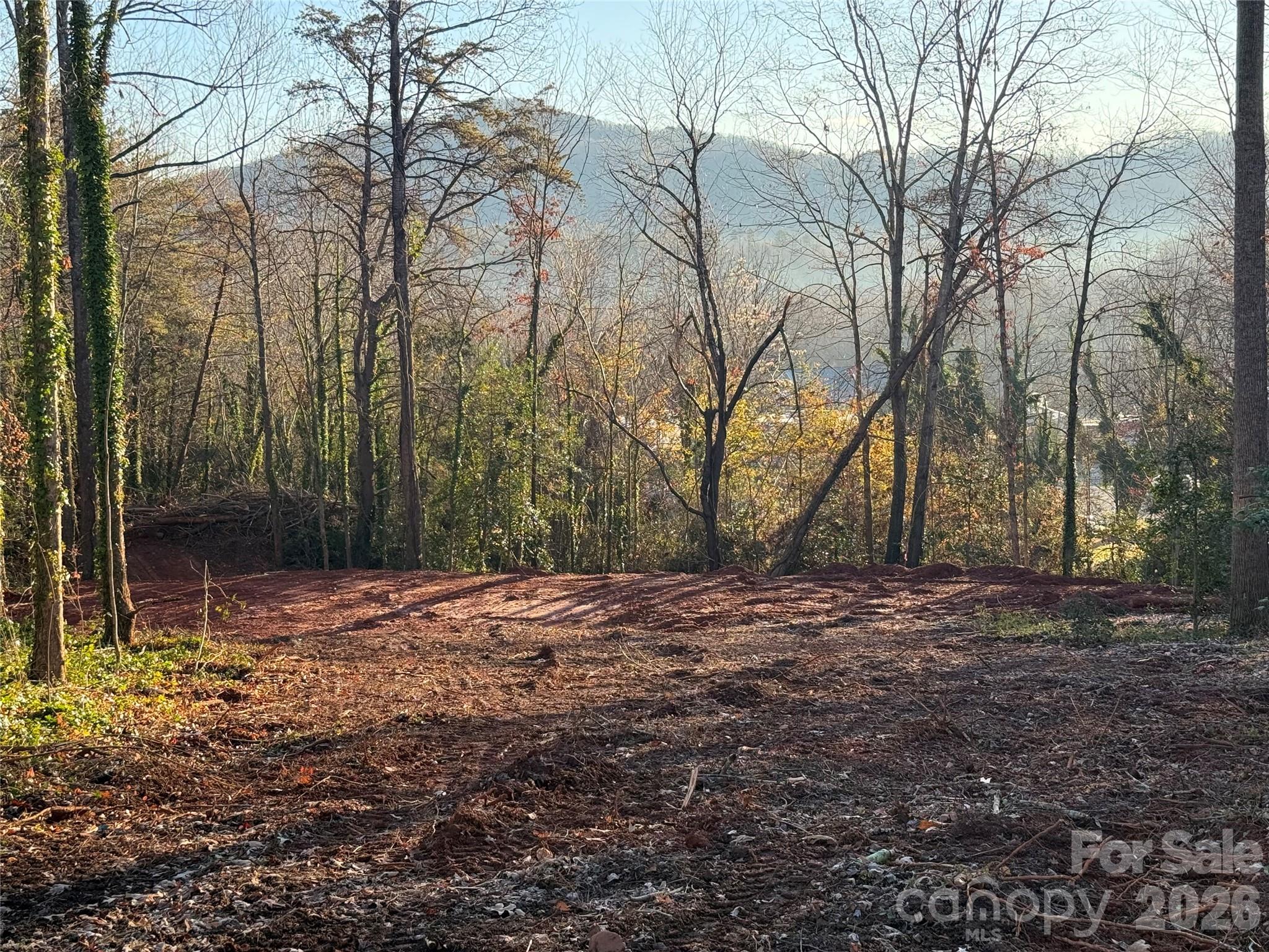 82 Overlook Drive W Marion NC 28752