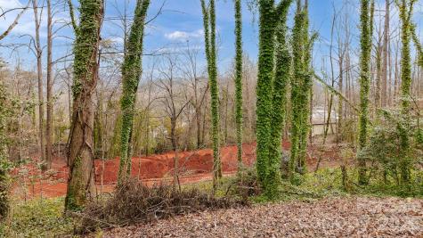 82 Overlook Drive W Marion NC 28752