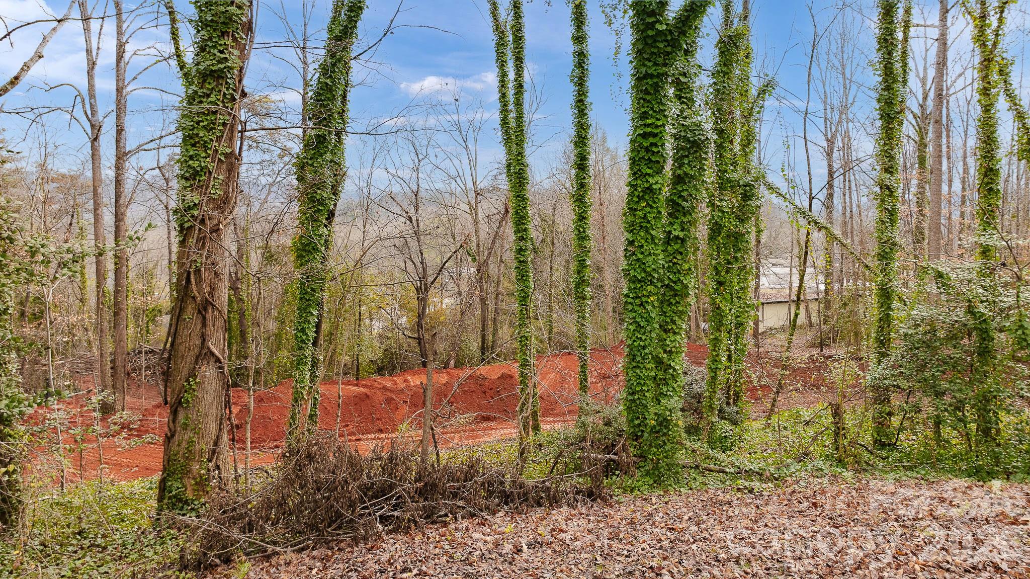 82 Overlook Drive W Marion NC 28752