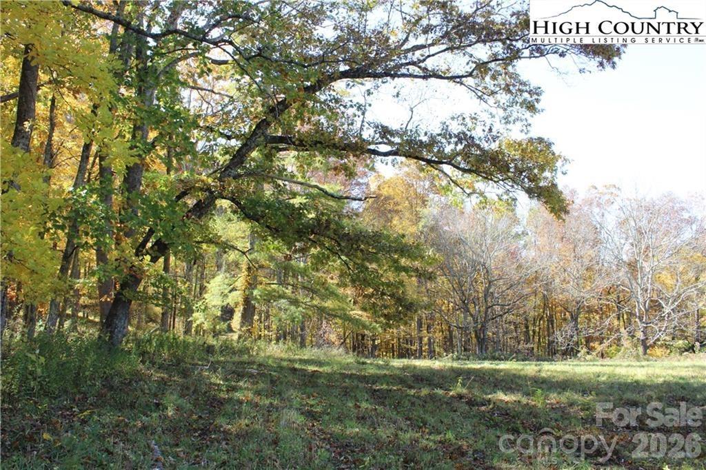 Tbd Mcneill Road Lansing NC 28643