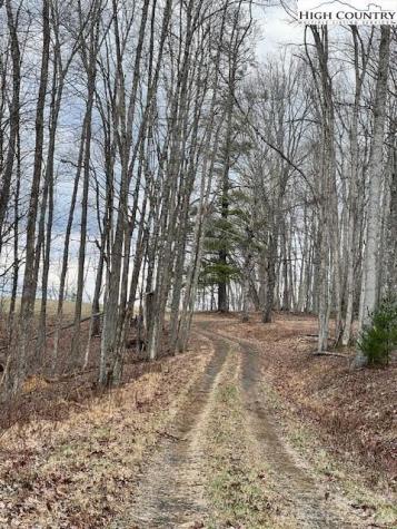 Tbd Mcneill Road Lansing NC 28643