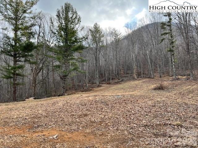 Tbd Mcneill Road Lansing NC 28643