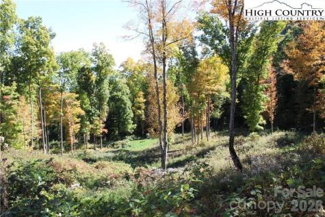 Tbd Mcneill Road Lansing NC 28643