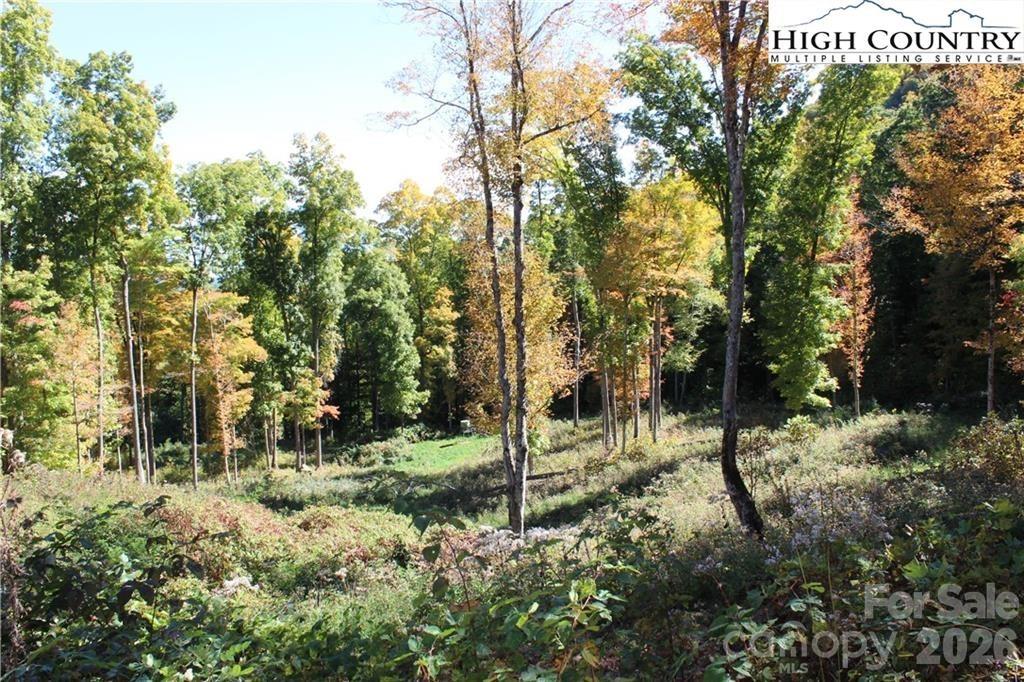 Tbd Mcneill Road Lansing NC 28643