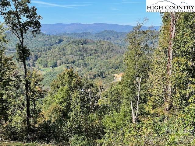 Tbd Mcneill Road Lansing NC 28643