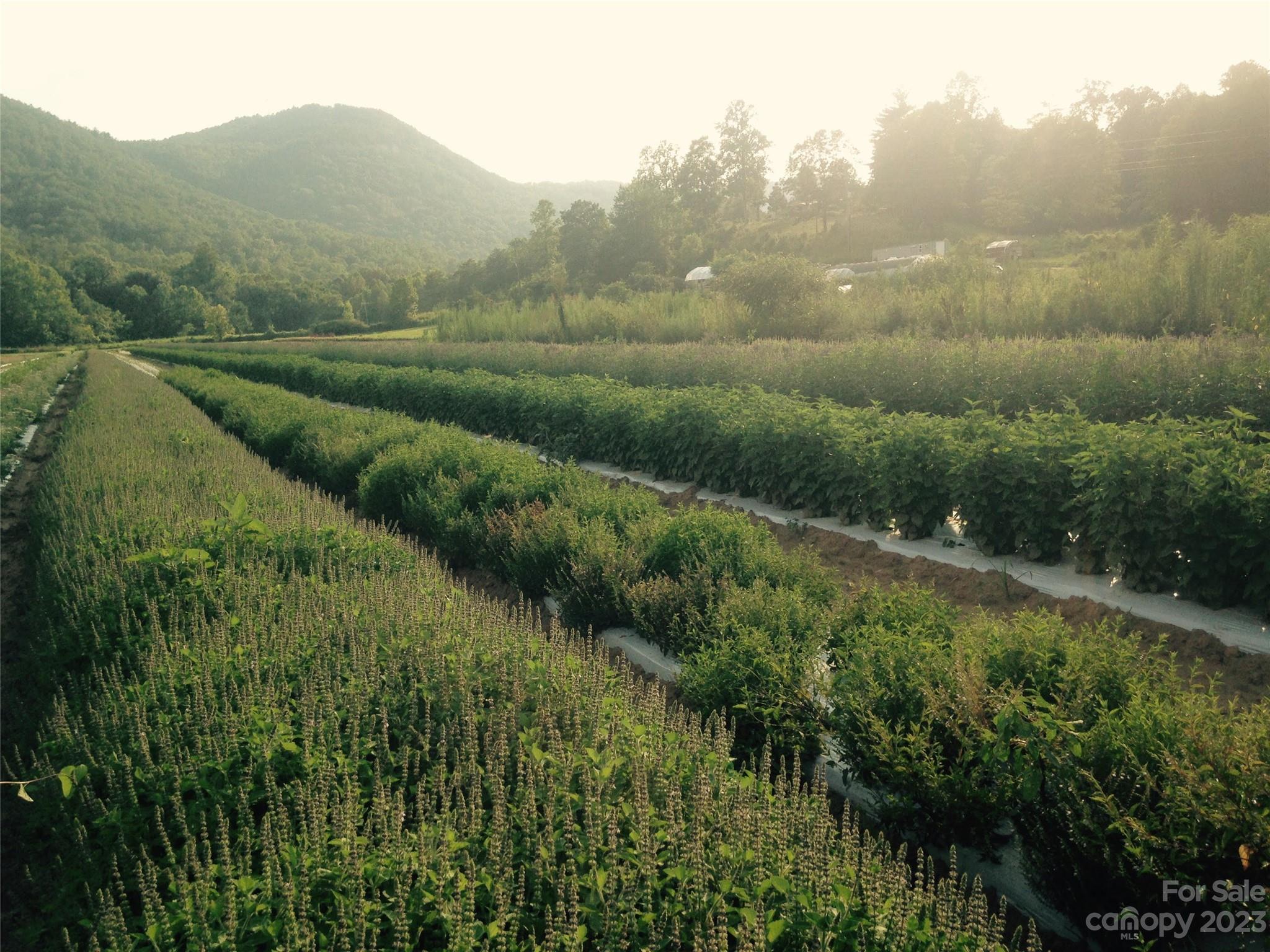 1235 Conner Road Lake Lure NC 28746