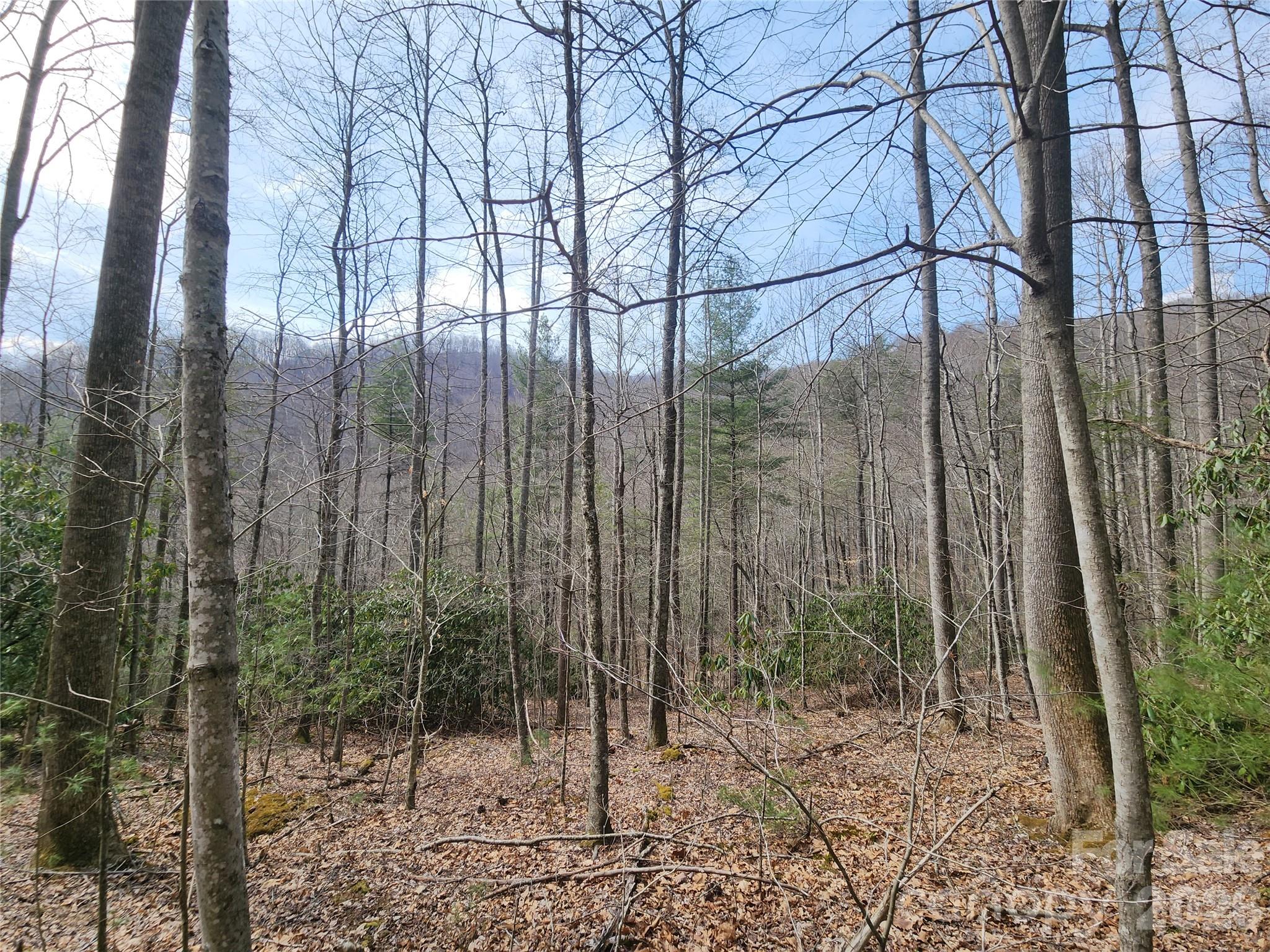 9999 Burnette Reeves Road Leicester NC 28748