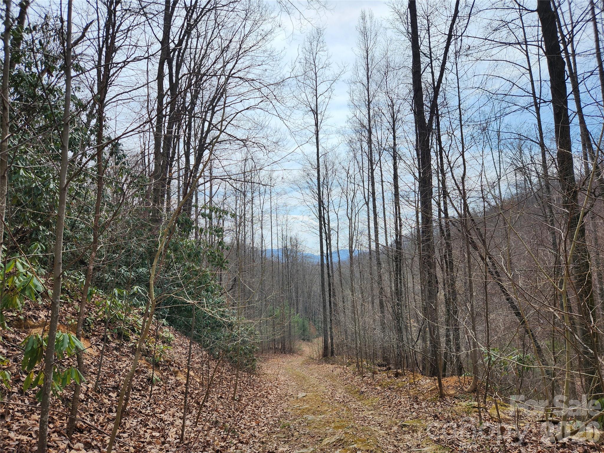9999 Burnette Reeves Road Leicester NC 28748