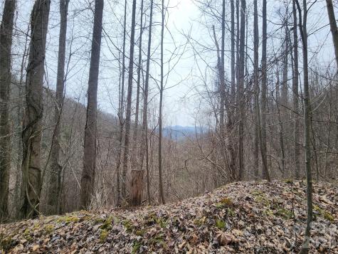 9999 Burnette Reeves Road Leicester NC 28748