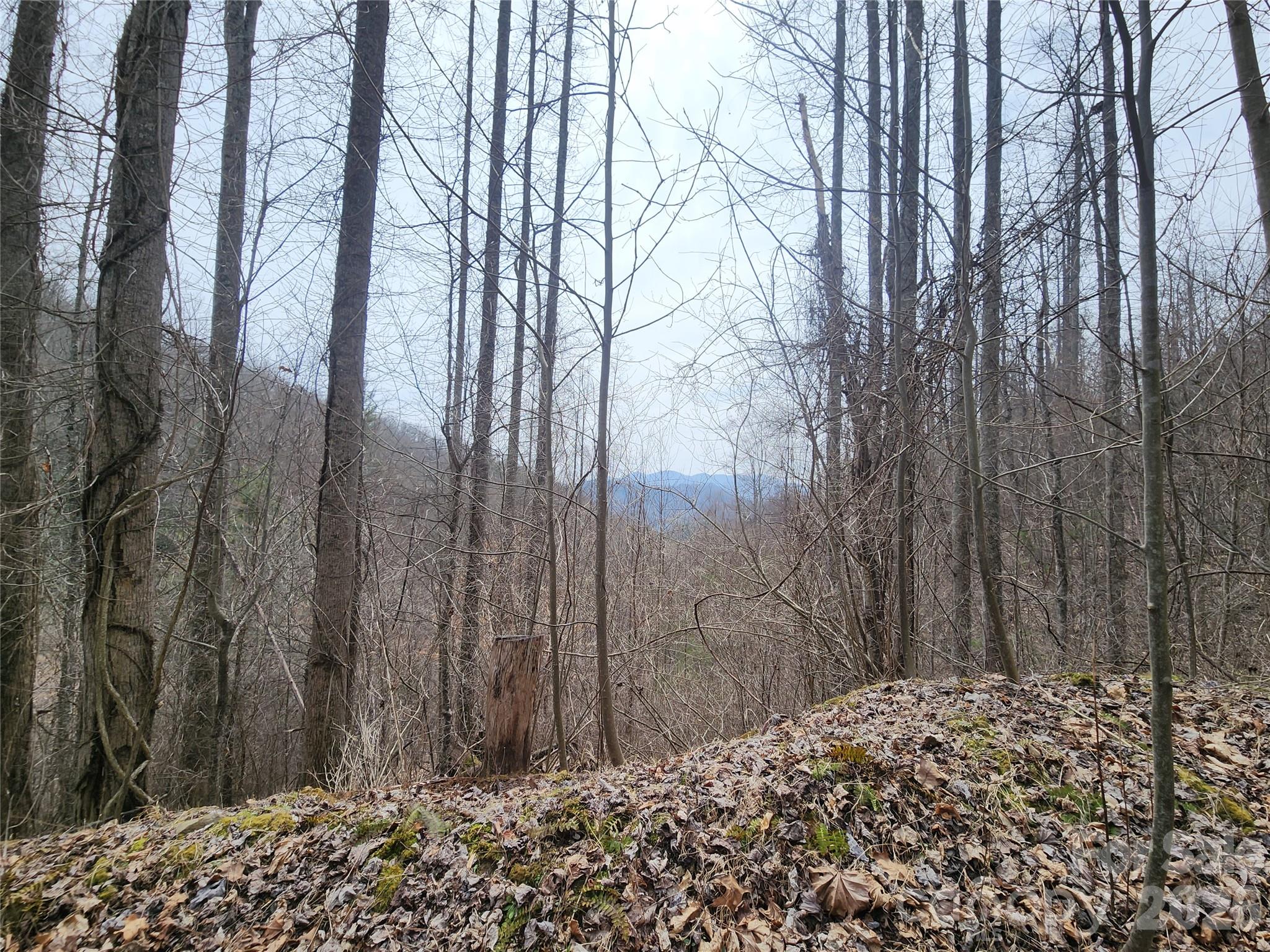 9999 Burnette Reeves Road Leicester NC 28748
