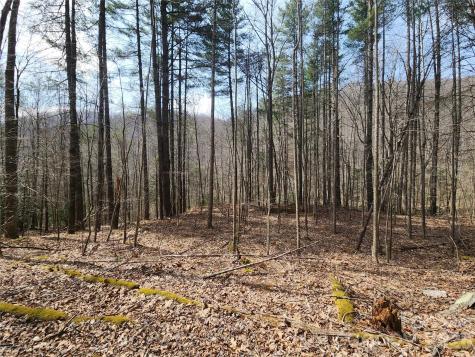 9999 Burnette Reeves Road Leicester NC 28748