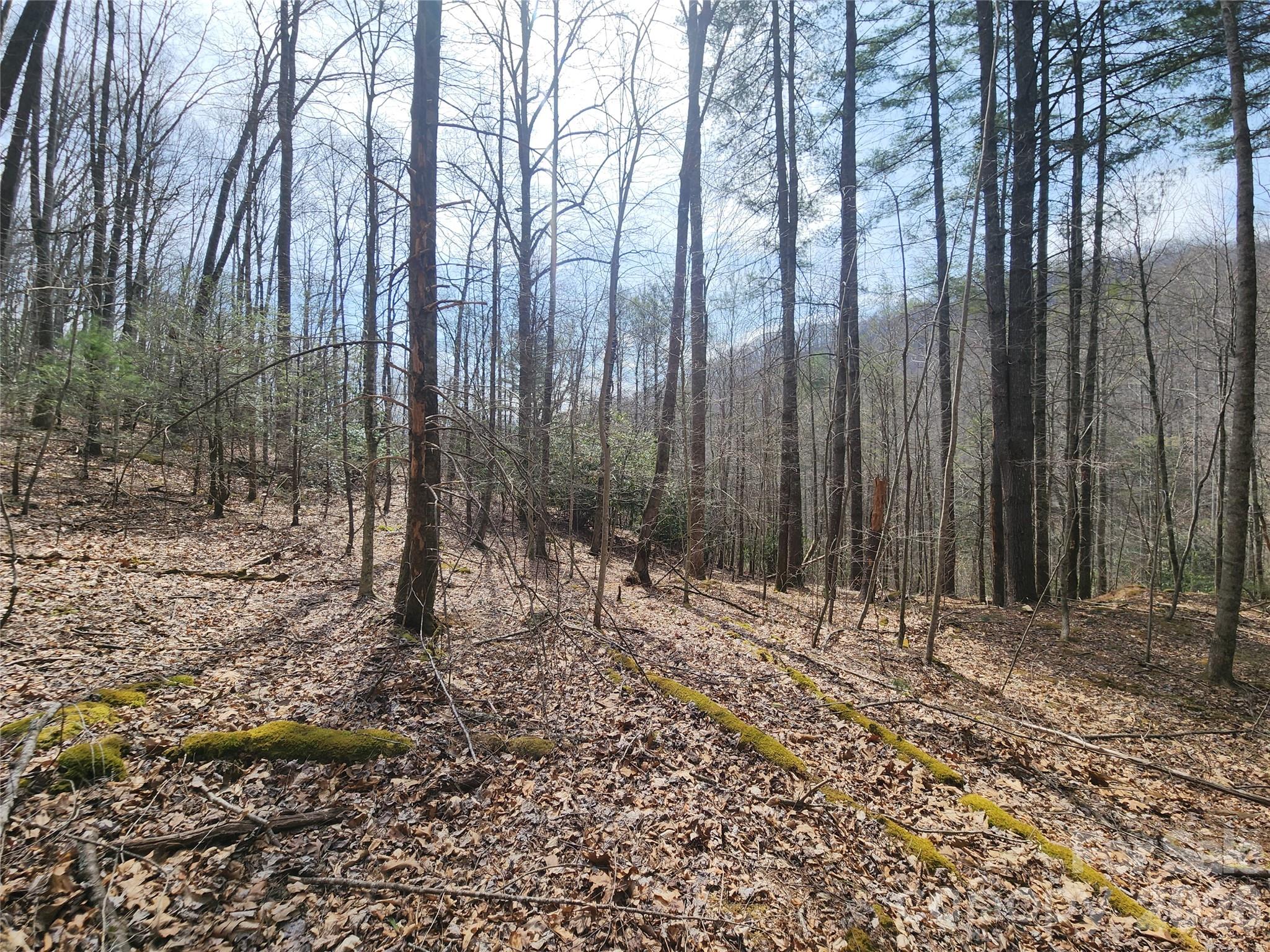 9999 Burnette Reeves Road Leicester NC 28748