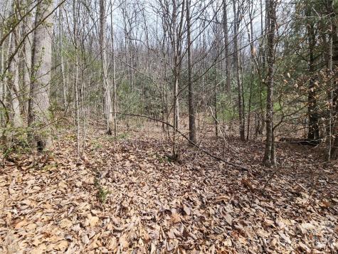 9999 Burnette Reeves Road Leicester NC 28748