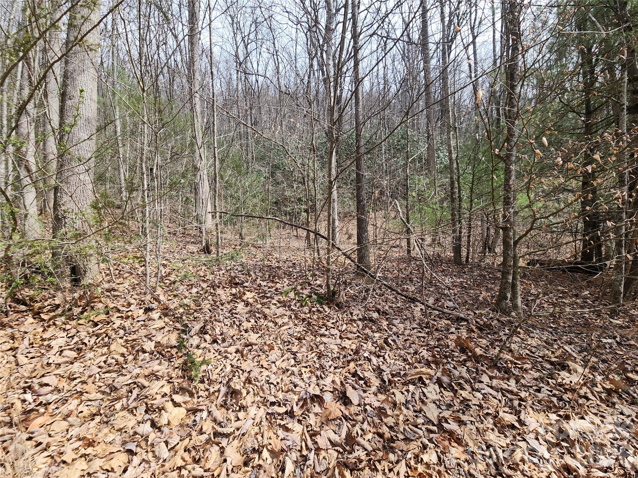 9999 Burnette Reeves Road Leicester NC 28748