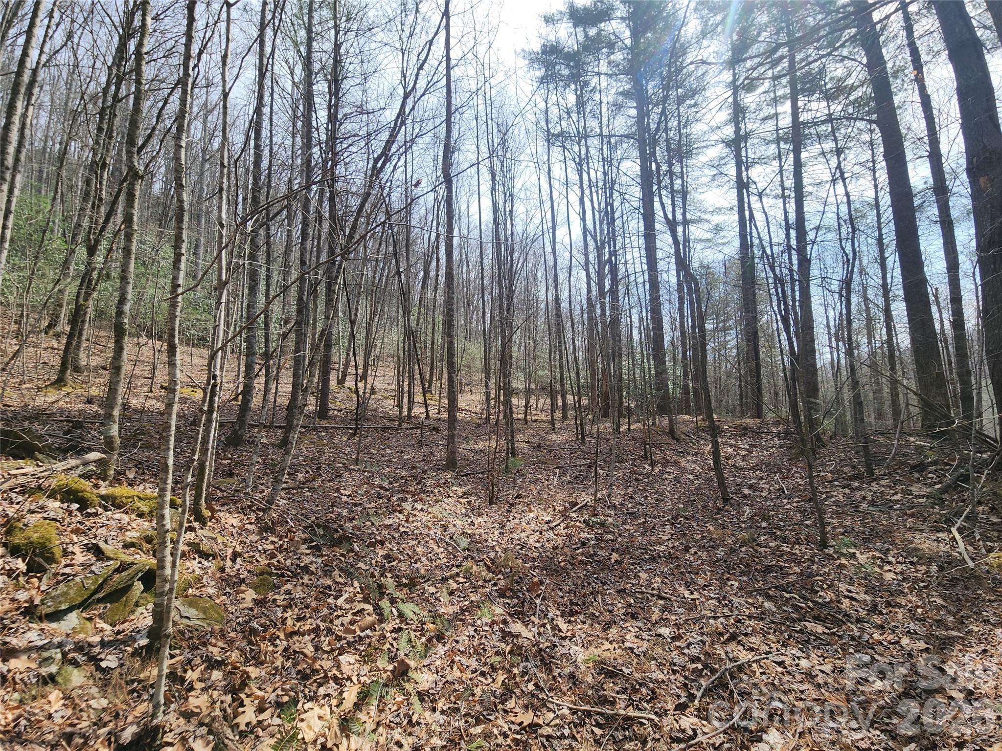 9999 Burnette Reeves Road Leicester NC 28748