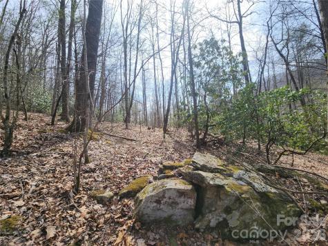 9999 Burnette Reeves Road Leicester NC 28748