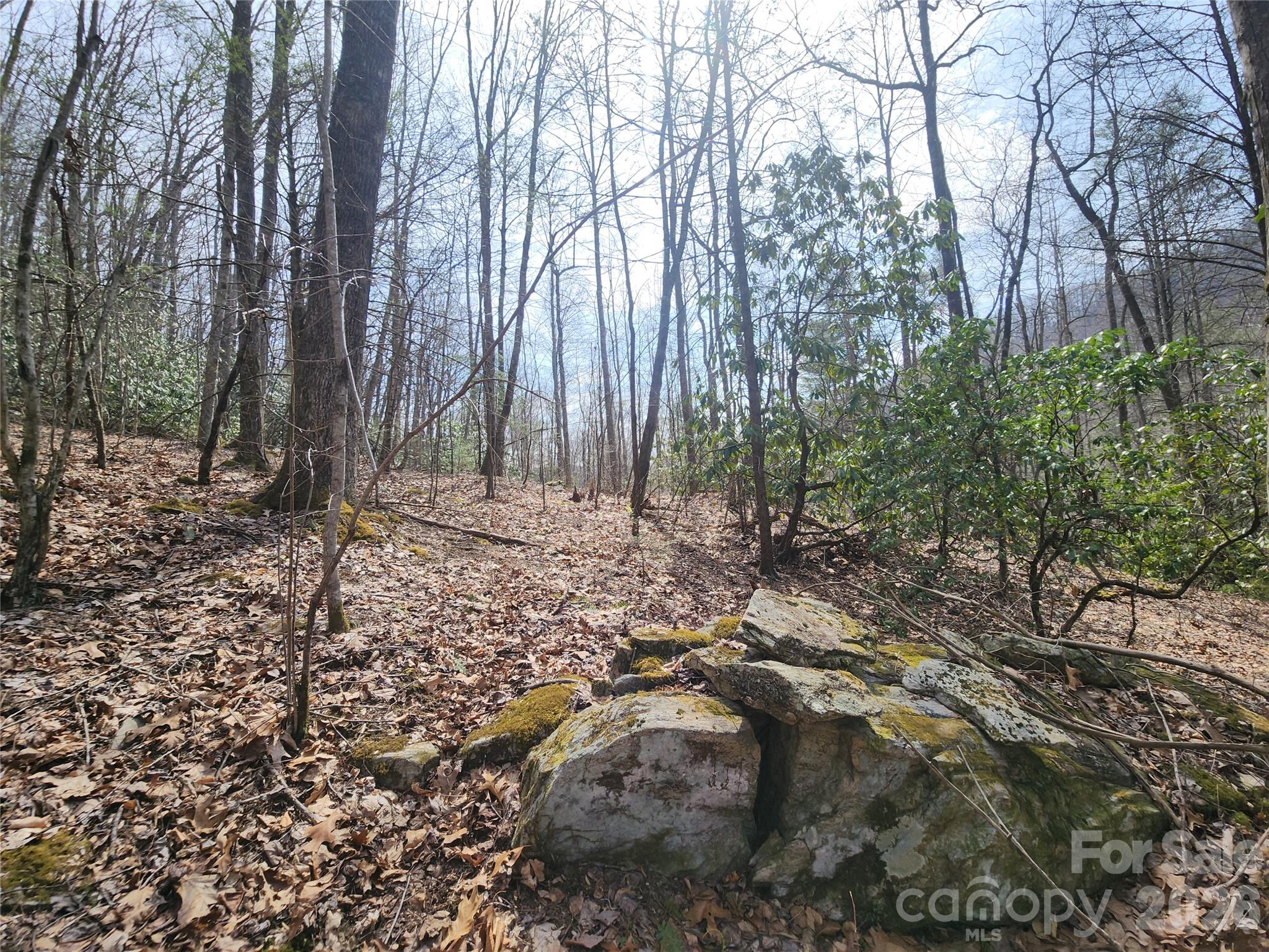 9999 Burnette Reeves Road Leicester NC 28748