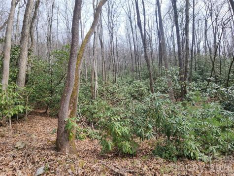 9999 Burnette Reeves Road Leicester NC 28748