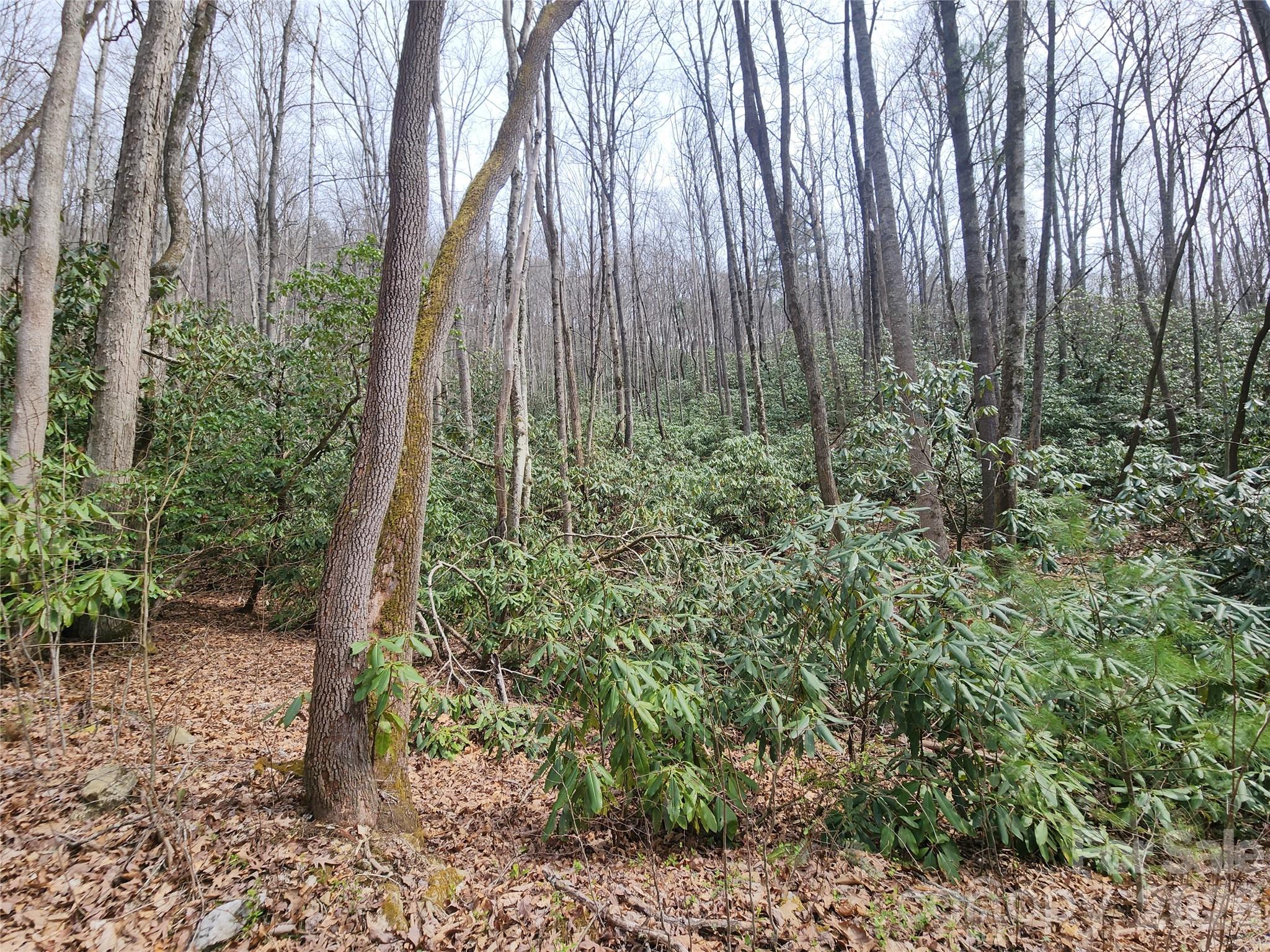 9999 Burnette Reeves Road Leicester NC 28748