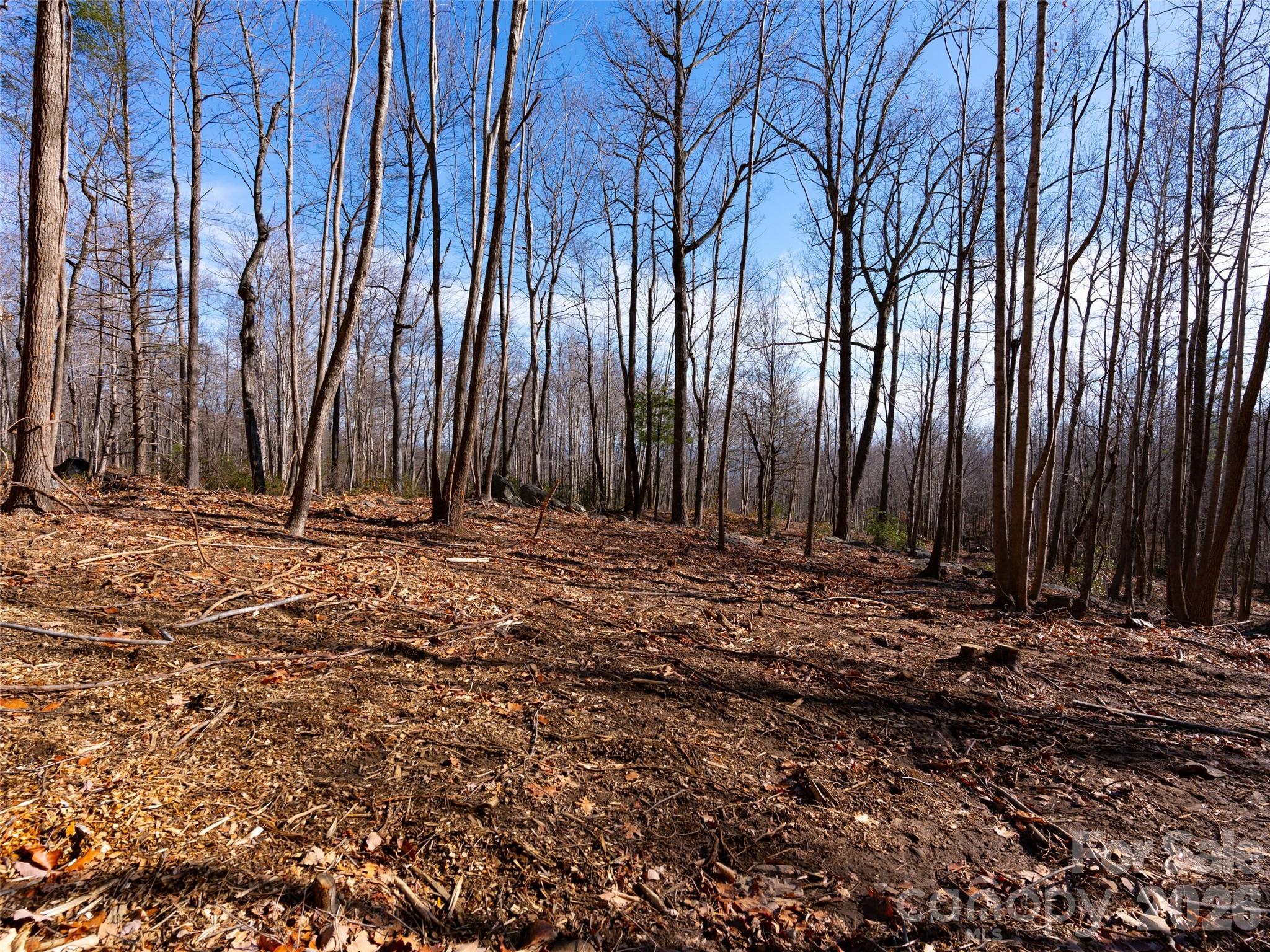 220 Chesterfield Drive Mill Spring NC 28756