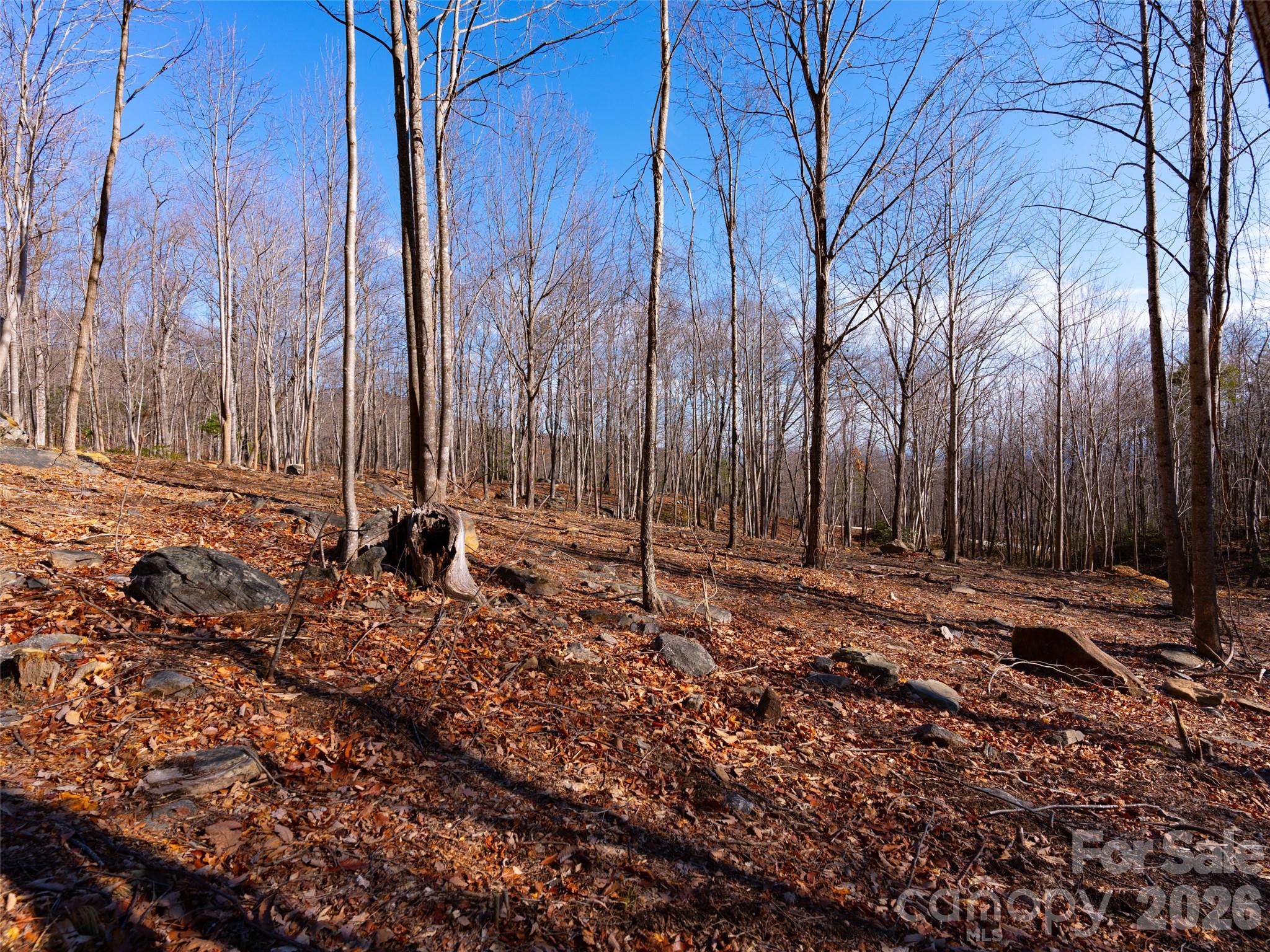 220 Chesterfield Drive Mill Spring NC 28756