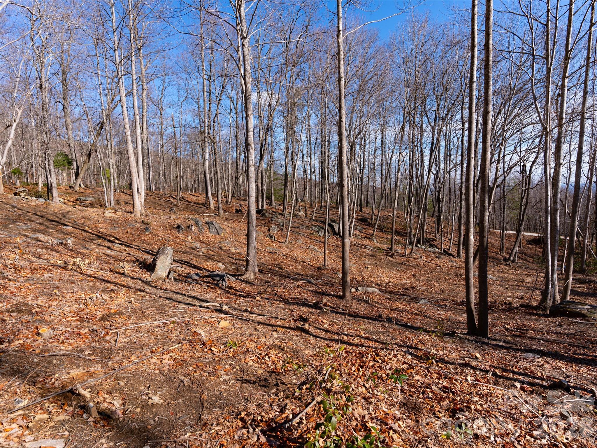220 Chesterfield Drive Mill Spring NC 28756