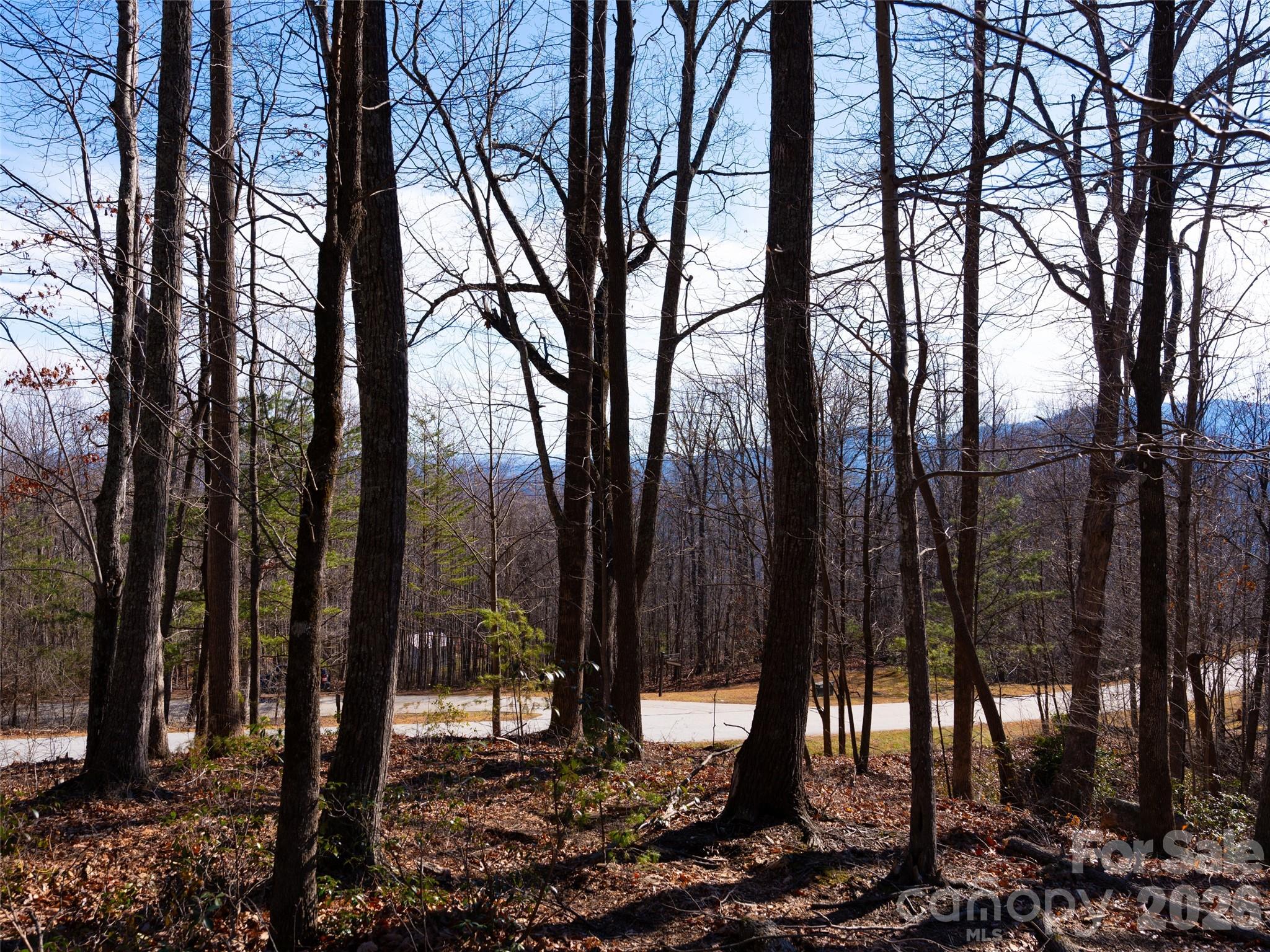 220 Chesterfield Drive Mill Spring NC 28756