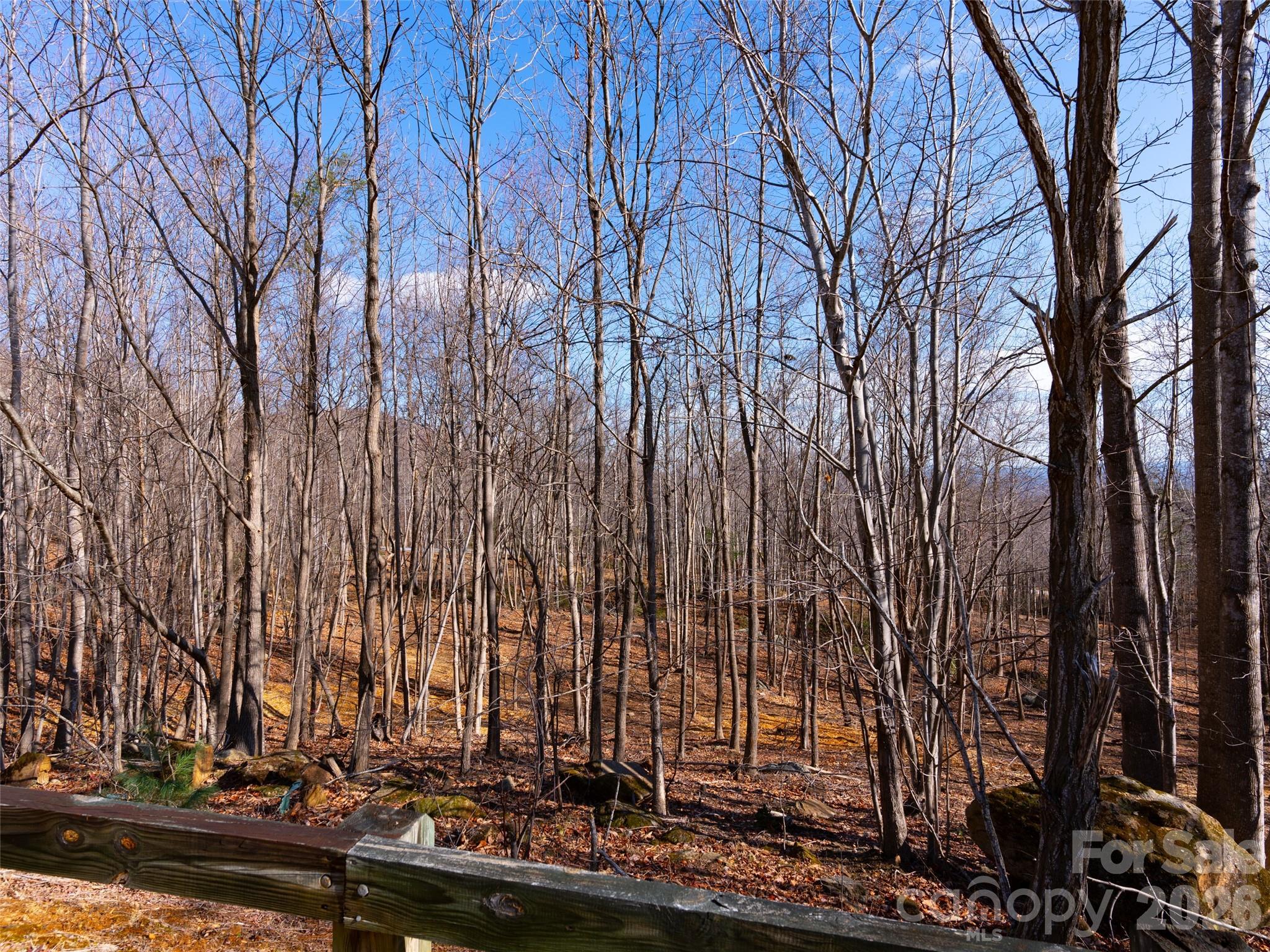 220 Chesterfield Drive Mill Spring NC 28756