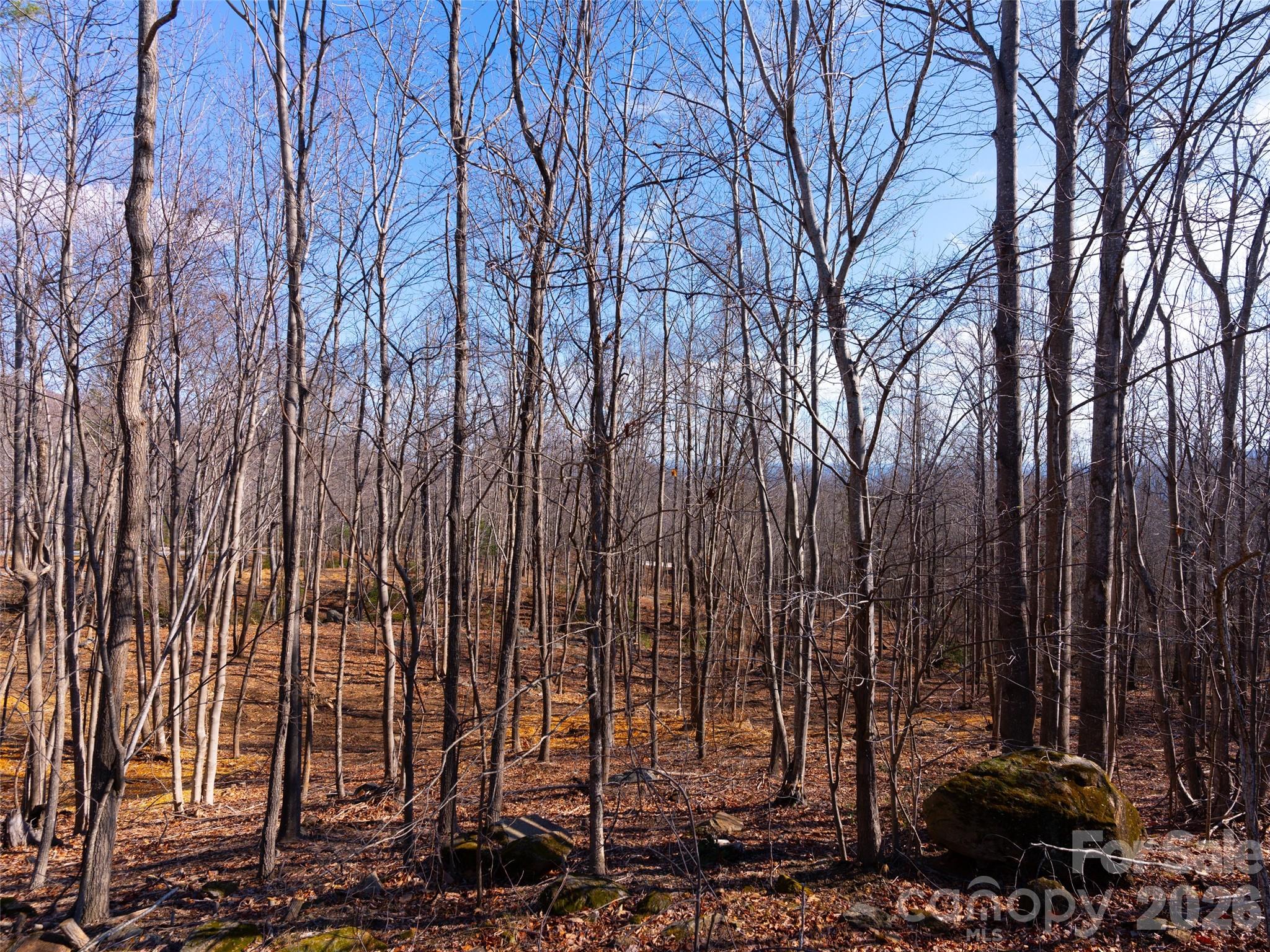 220 Chesterfield Drive Mill Spring NC 28756