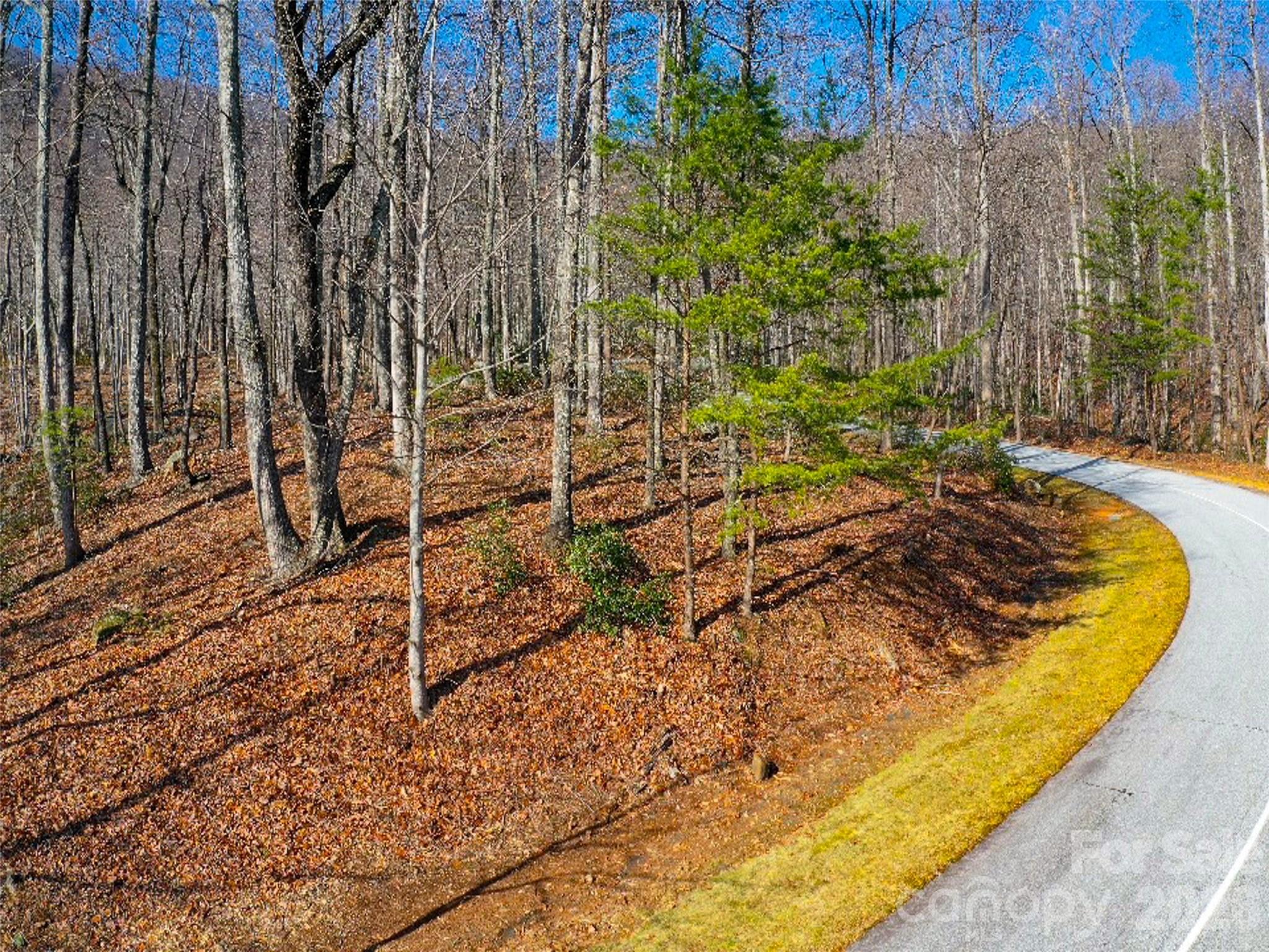 220 Chesterfield Drive Mill Spring NC 28756