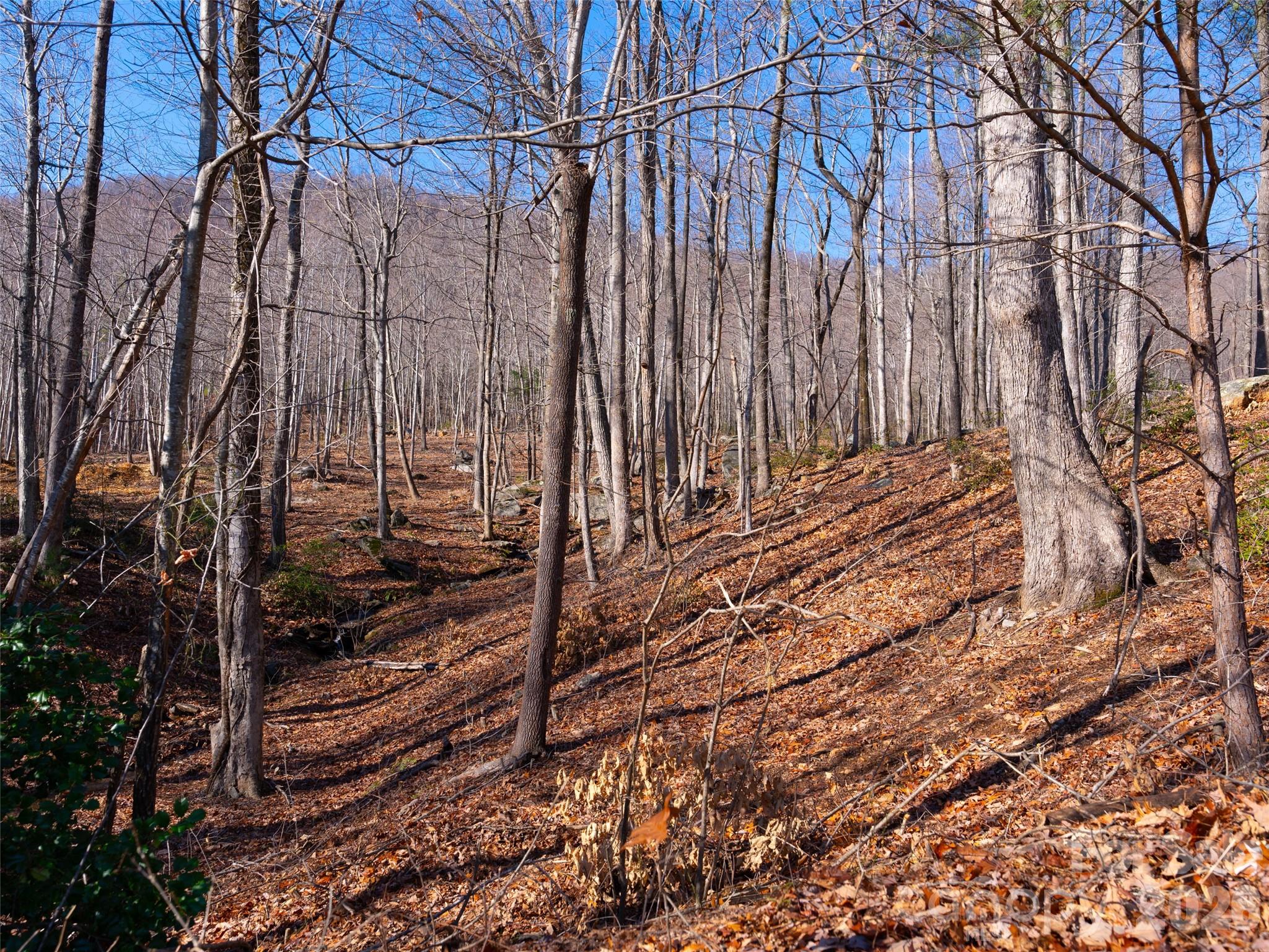 220 Chesterfield Drive Mill Spring NC 28756