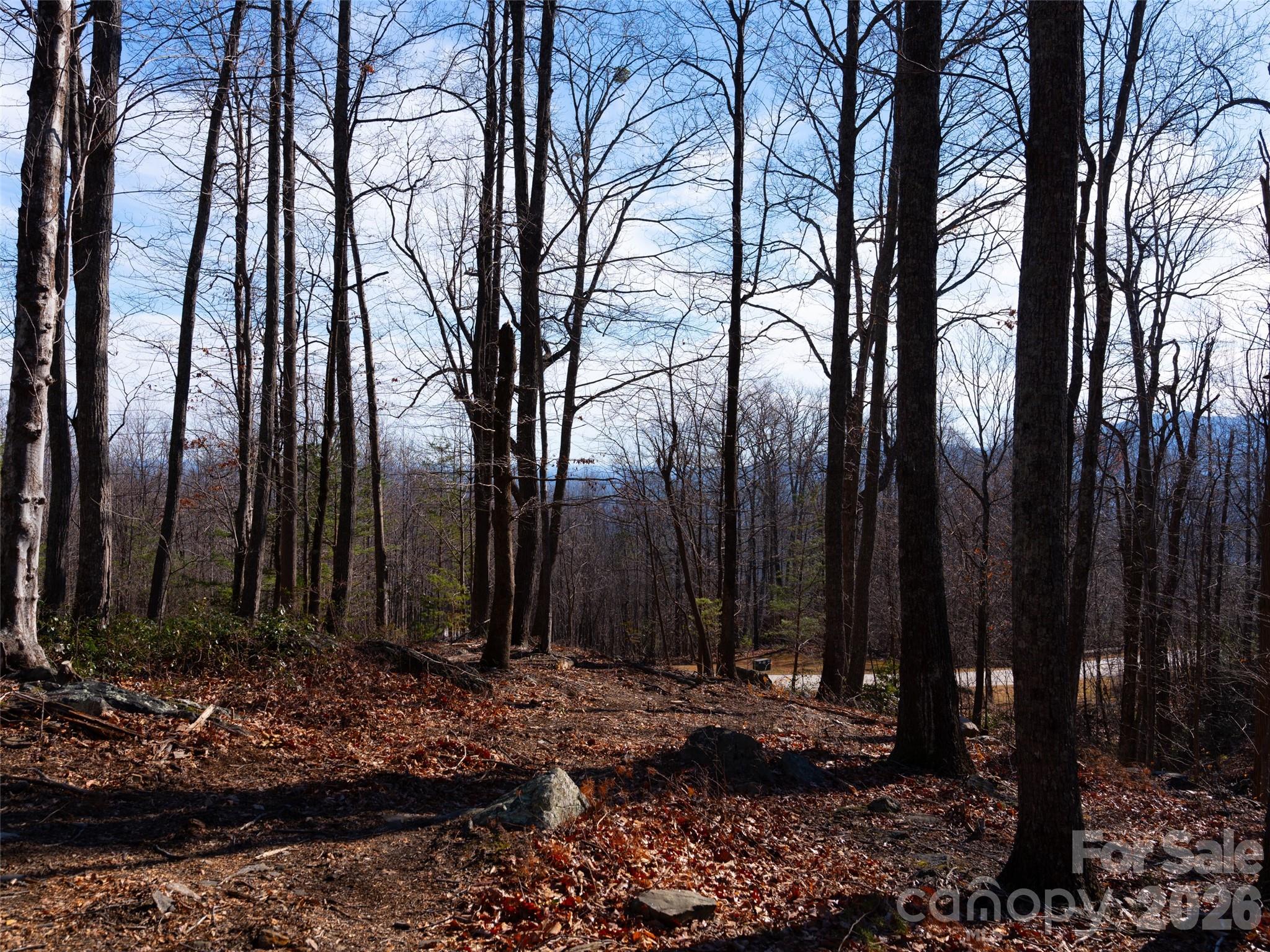 220 Chesterfield Drive Mill Spring NC 28756